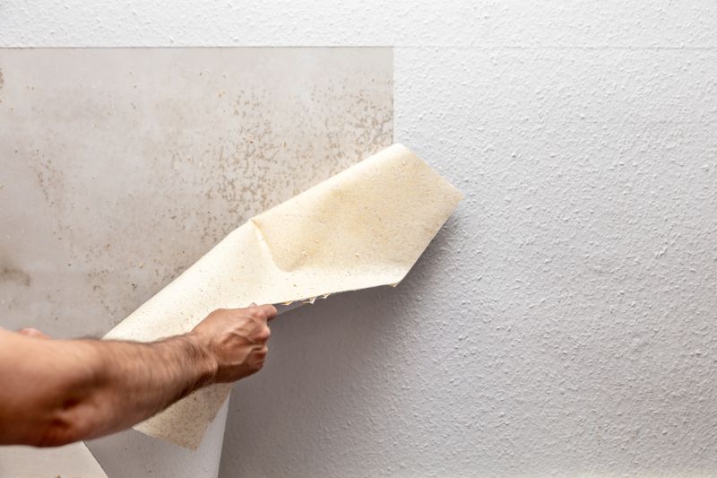 Wallpaper Removal Service detail