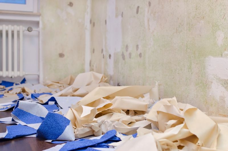 Wallpaper Removal Service detail